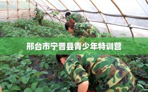 邢台市宁晋县青少年特训营