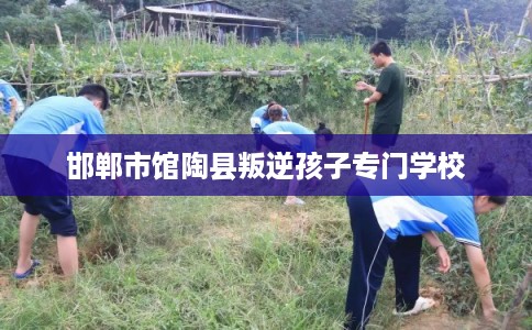 邯郸市馆陶县叛逆孩子专门学校 邯郸市馆陶县叛逆孩子专门学校