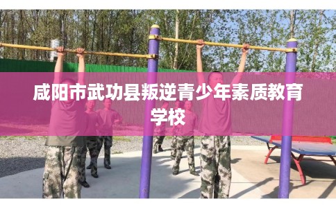 咸阳市武功县叛逆青少年素质教育学校 咸阳市武功县叛逆青少年素质教育学校