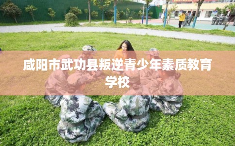 咸阳市武功县叛逆青少年素质教育学校 咸阳市武功县叛逆青少年素质教育学校
