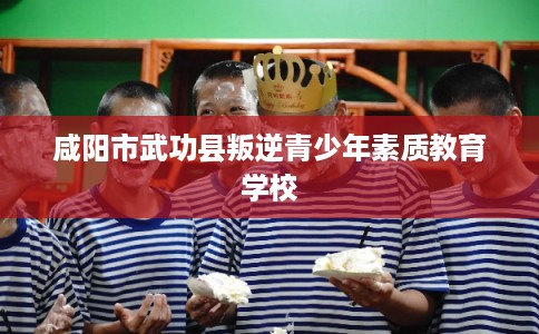 咸阳市武功县叛逆青少年素质教育学校 咸阳市武功县叛逆青少年素质教育学校