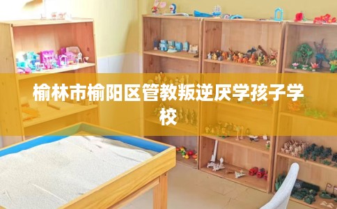 榆林市榆阳区管教叛逆厌学孩子学校