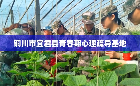 铜川市宜君县青春期心理疏导基地 铜川市宜君县青春期心理疏导基地
