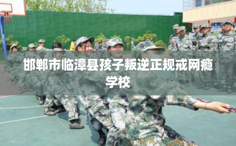 邯郸市临漳县孩子叛逆正规戒网瘾学校 邯郸市临漳县孩子叛逆正规戒网瘾学校