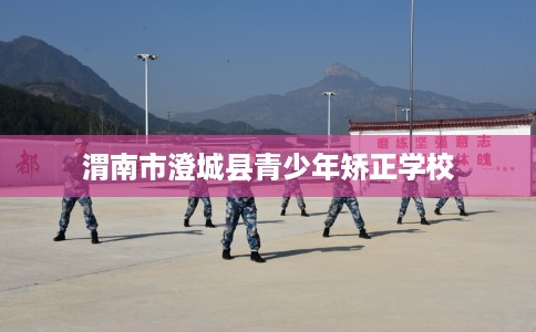 渭南市澄城县青少年矫正学校 渭南市澄城县青少年矫正学校
